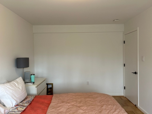 Lower Level Guest Room Before