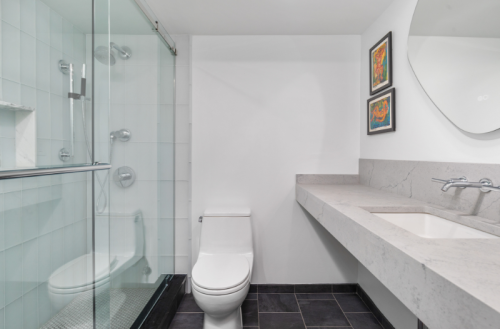 Lower Level Bath After